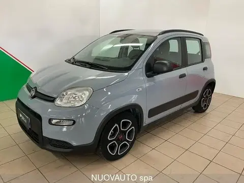 Used FIAT PANDA Hybrid 2022 Ad 