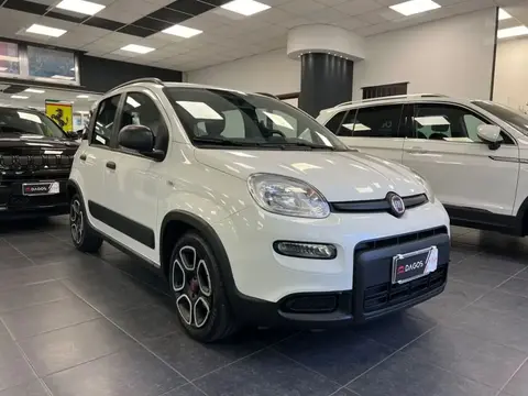 Used FIAT PANDA Hybrid 2022 Ad 