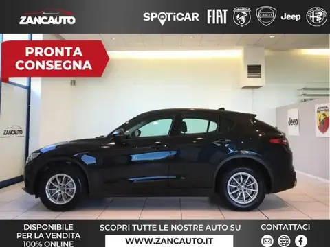 Annonce ALFA ROMEO STELVIO Diesel 2019 d'occasion 