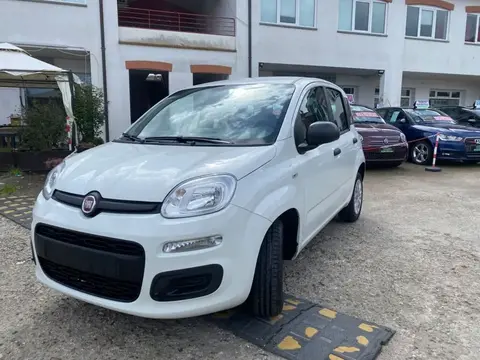 Annonce FIAT PANDA Essence 2019 d'occasion 