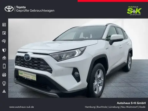 Used TOYOTA RAV4 Hybrid 2019 Ad 