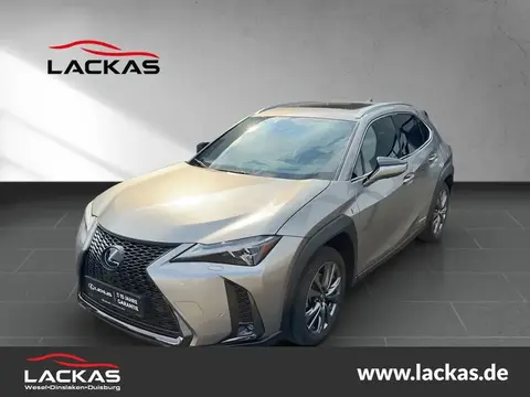 Used LEXUS UX Hybrid 2020 Ad 