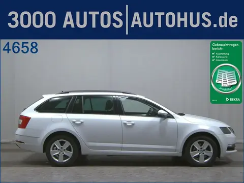 Used SKODA OCTAVIA Diesel 2019 Ad 