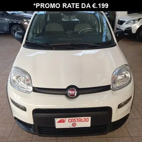 Annonce FIAT PANDA Hybride 2022 d'occasion 