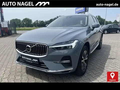 Used VOLVO XC60 Hybrid 2023 Ad 