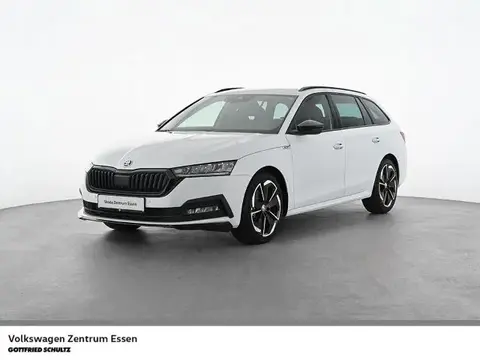 Annonce SKODA OCTAVIA Essence 2024 d'occasion 