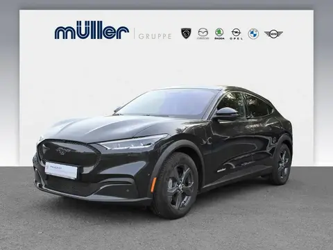 Used FORD MUSTANG Not specified 2021 Ad 