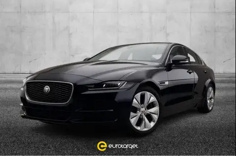 Used JAGUAR XE Diesel 2020 Ad 