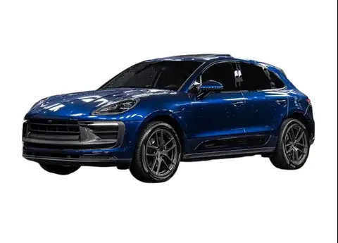 Used PORSCHE MACAN Petrol 2023 Ad 