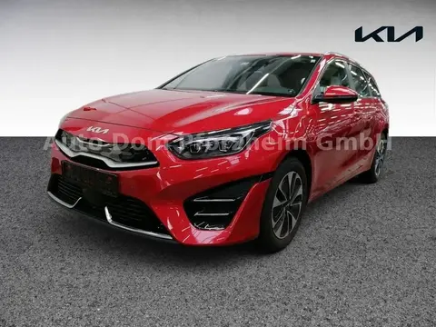 Annonce KIA CEED Hybride 2023 d'occasion 