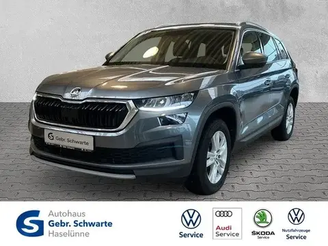 Used SKODA KODIAQ Diesel 2023 Ad 