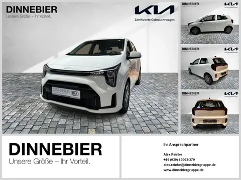 Annonce KIA PICANTO Essence 2024 d'occasion 