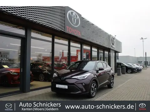 Used TOYOTA C-HR Hybrid 2023 Ad 