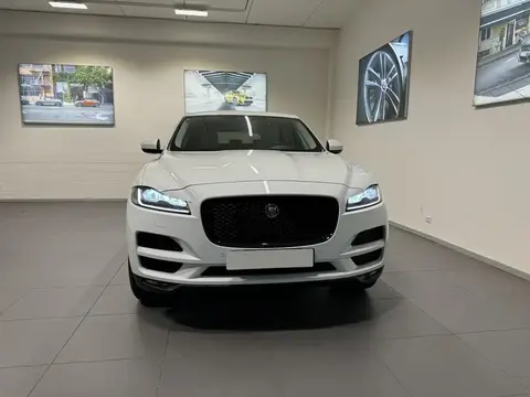 Annonce JAGUAR F-PACE Diesel 2016 d'occasion 