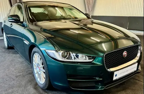 Annonce JAGUAR XE Diesel 2016 d'occasion 