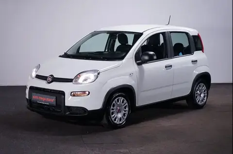 Used FIAT PANDA Petrol 2024 Ad 