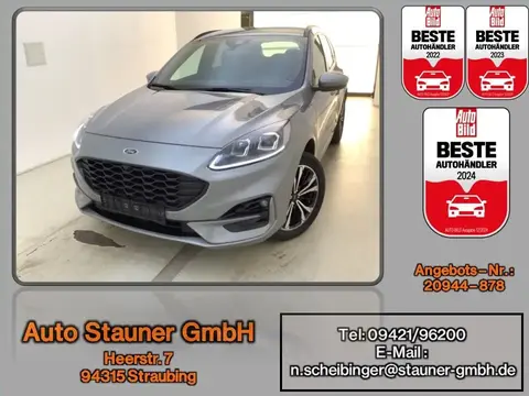 Used FORD KUGA Hybrid 2024 Ad 