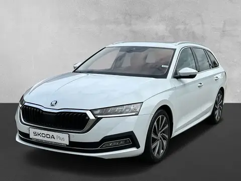 Used SKODA OCTAVIA Diesel 2021 Ad 