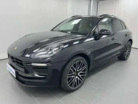 Used PORSCHE MACAN Petrol 2024 Ad 