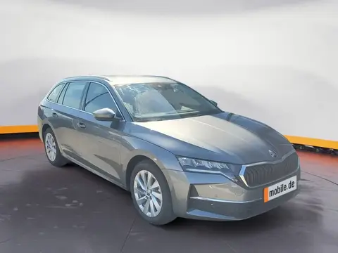 Annonce SKODA OCTAVIA Diesel 2024 d'occasion 