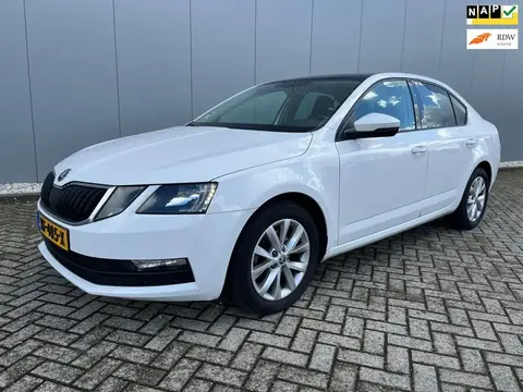 Used SKODA OCTAVIA Petrol 2019 Ad 