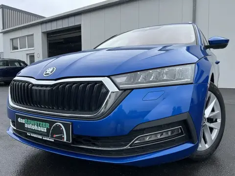 Annonce SKODA OCTAVIA Diesel 2020 d'occasion 