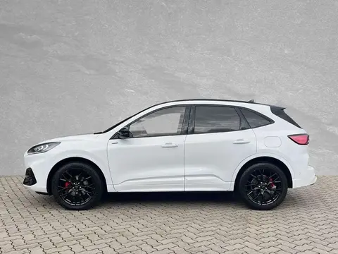 Annonce FORD KUGA Diesel 2023 d'occasion 