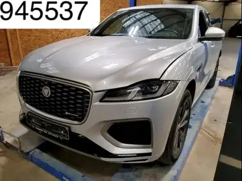 Used JAGUAR F-PACE Hybrid 2021 Ad 