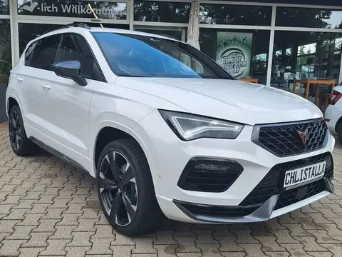 Used CUPRA ATECA Petrol 2024 Ad 