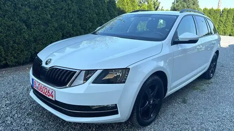 Used SKODA OCTAVIA Diesel 2018 Ad 