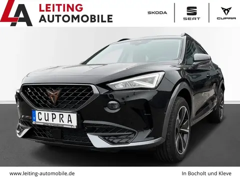 Used CUPRA FORMENTOR Petrol 2023 Ad 