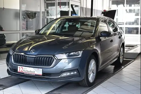 Used SKODA OCTAVIA Diesel 2021 Ad 