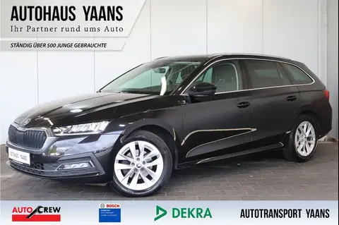 Annonce SKODA OCTAVIA Diesel 2021 d'occasion 