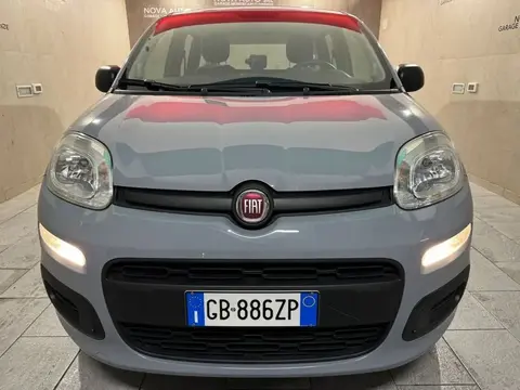 Used FIAT PANDA Hybrid 2020 Ad 