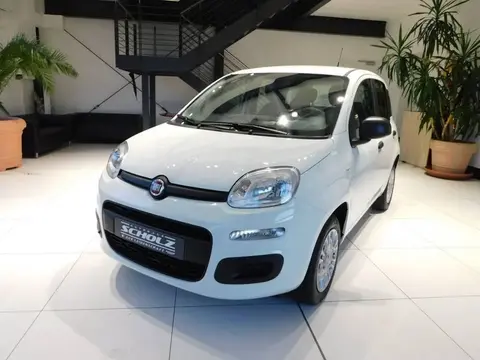 Annonce FIAT PANDA Essence 2019 d'occasion 