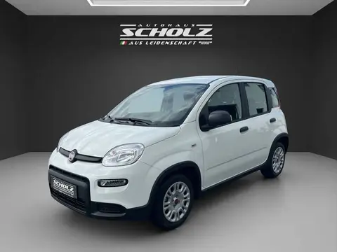 Used FIAT PANDA Petrol 2024 Ad 