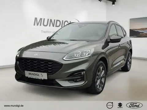 Used FORD KUGA Hybrid 2021 Ad 