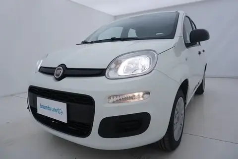 Annonce FIAT PANDA GPL 2020 d'occasion 