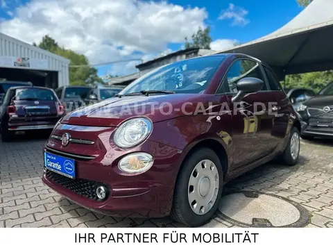 Used FIAT 500 Petrol 2018 Ad 