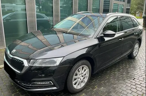 Used SKODA OCTAVIA Diesel 2023 Ad 