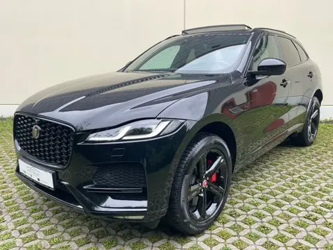 Annonce JAGUAR F-PACE Hybride 2021 d'occasion 