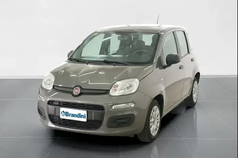 Used FIAT PANDA Petrol 2021 Ad 