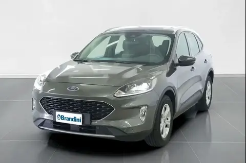 Used FORD KUGA Diesel 2021 Ad 