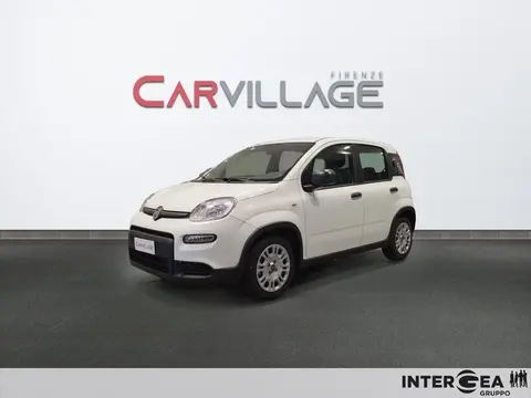 Used FIAT PANDA Hybrid 2023 Ad 