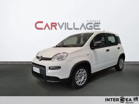 Annonce FIAT PANDA Hybride 2023 d'occasion 