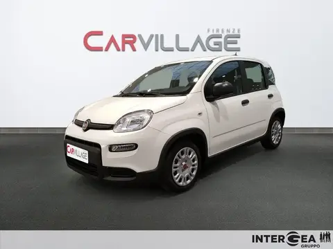 Annonce FIAT PANDA Hybride 2023 d'occasion 