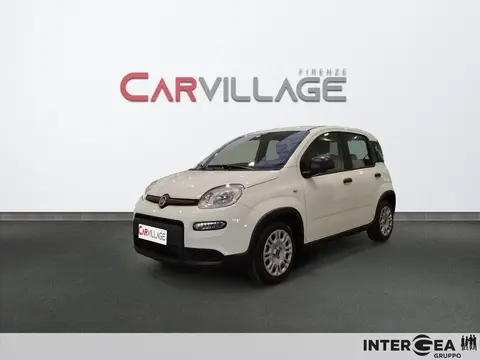 Used FIAT PANDA Hybrid 2023 Ad 