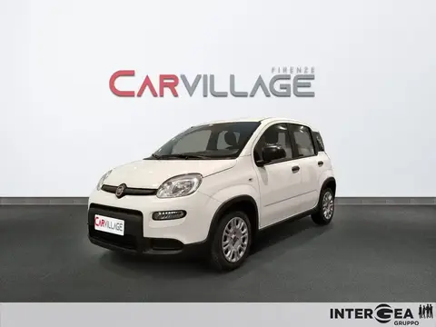 Annonce FIAT PANDA Hybride 2023 d'occasion 