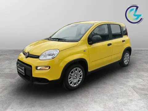 Used FIAT PANDA Hybrid 2024 Ad 