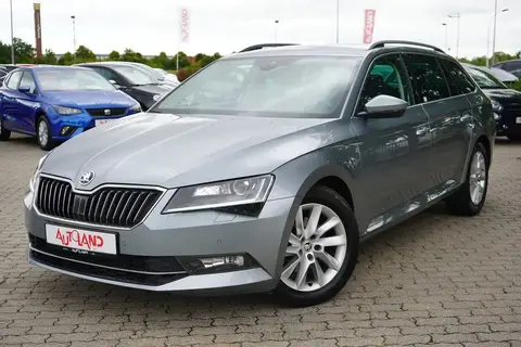 Annonce SKODA SUPERB Diesel 2019 d'occasion 